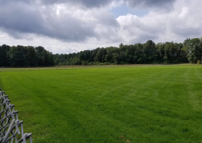 Grass field newly renovated with sod